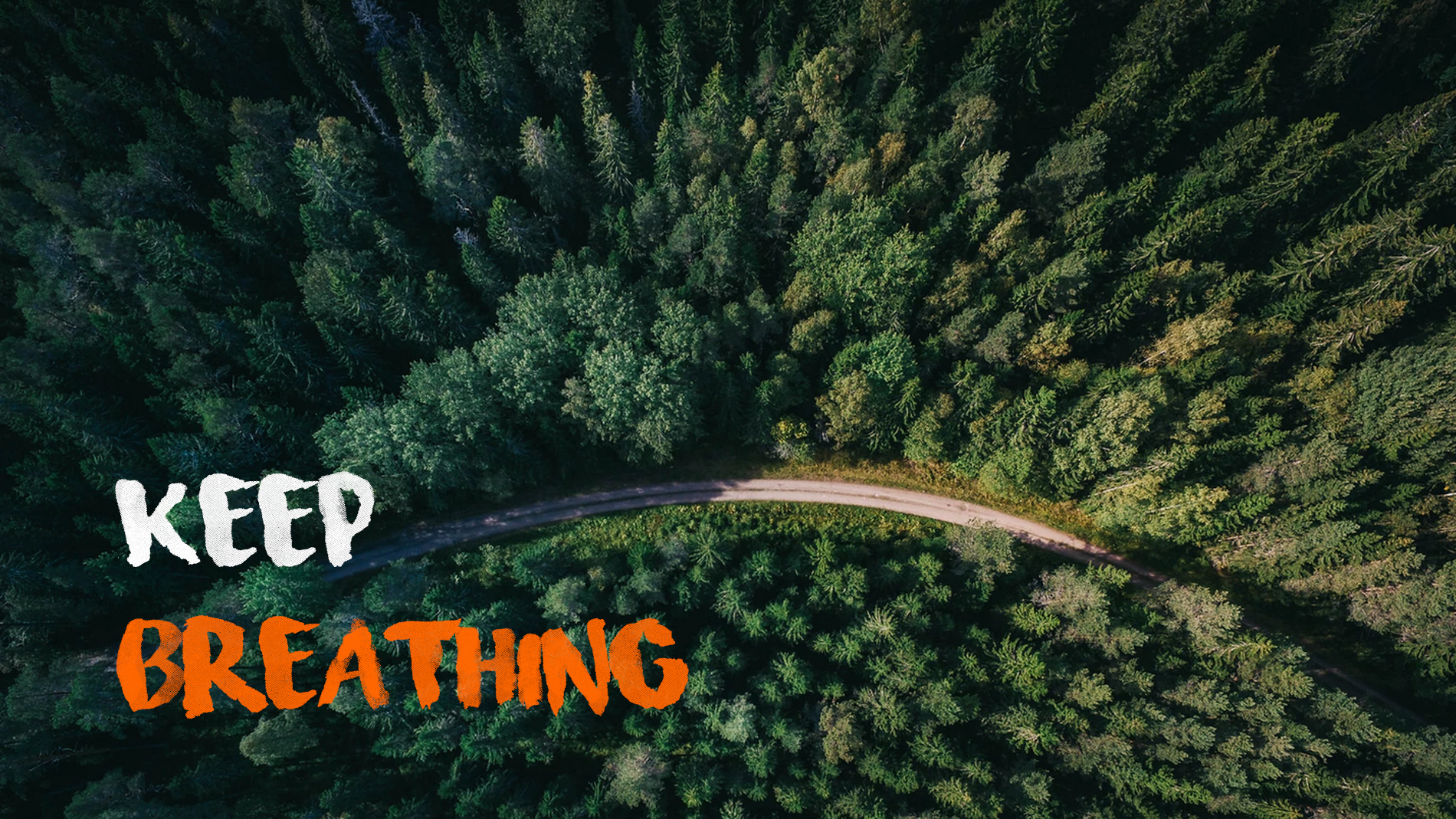 Aerial view of a forest – Keep Breathing