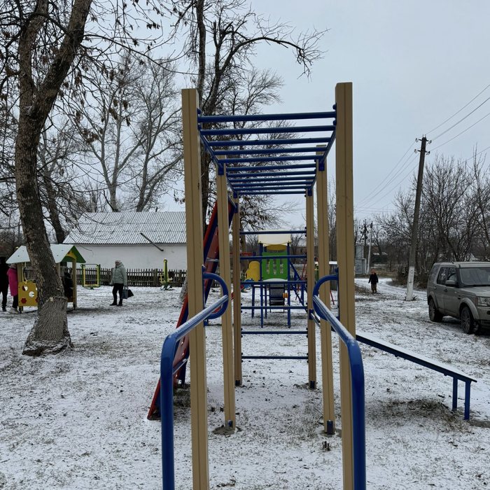 Climbing frame with monkey bars